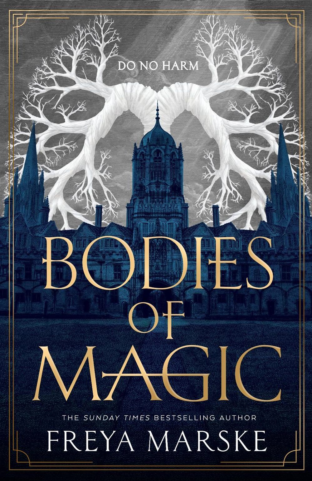 Bodies of Magic by Freya Marske - ISBN: 9781035039340