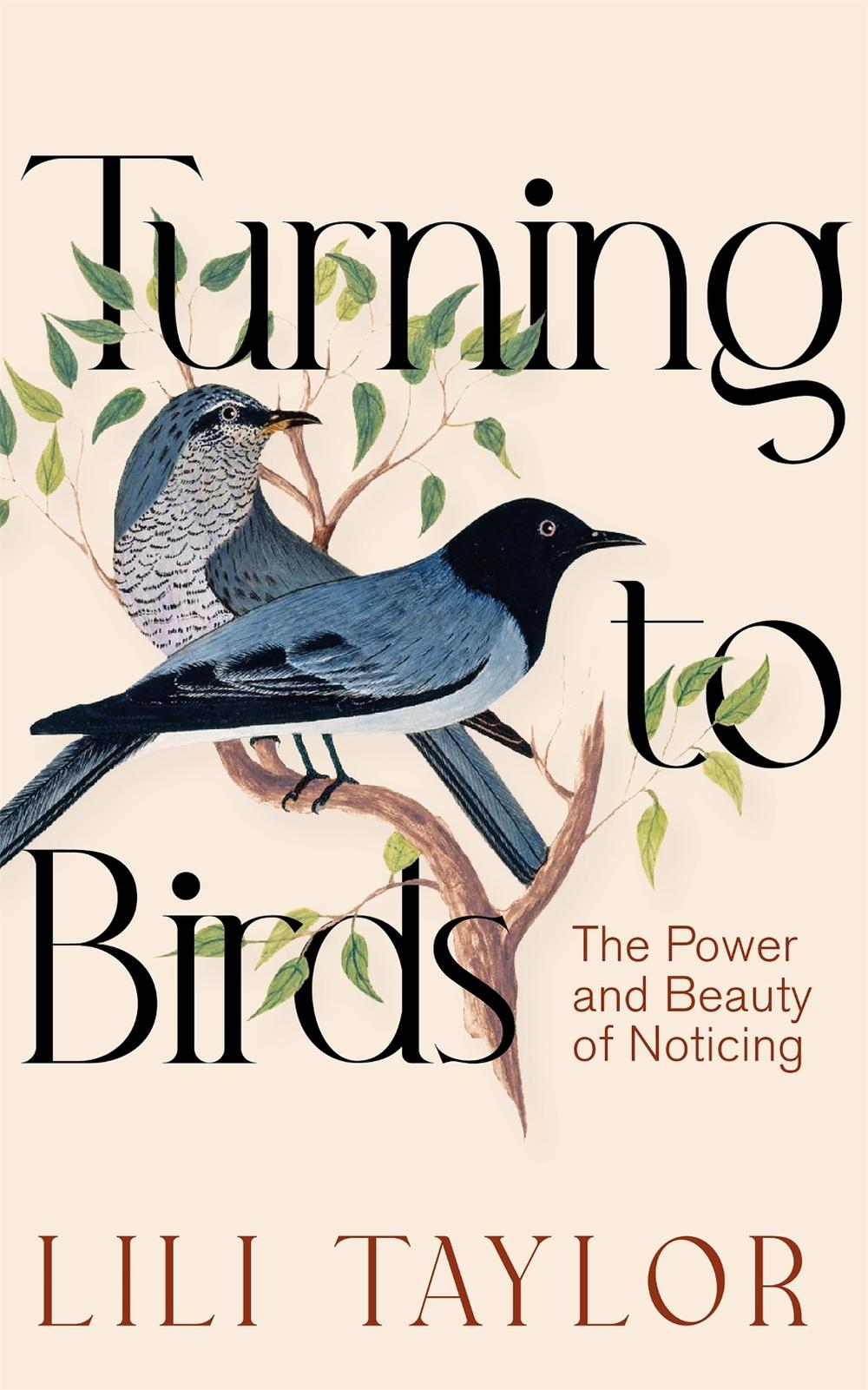 Turning to Birds, 9781035039999