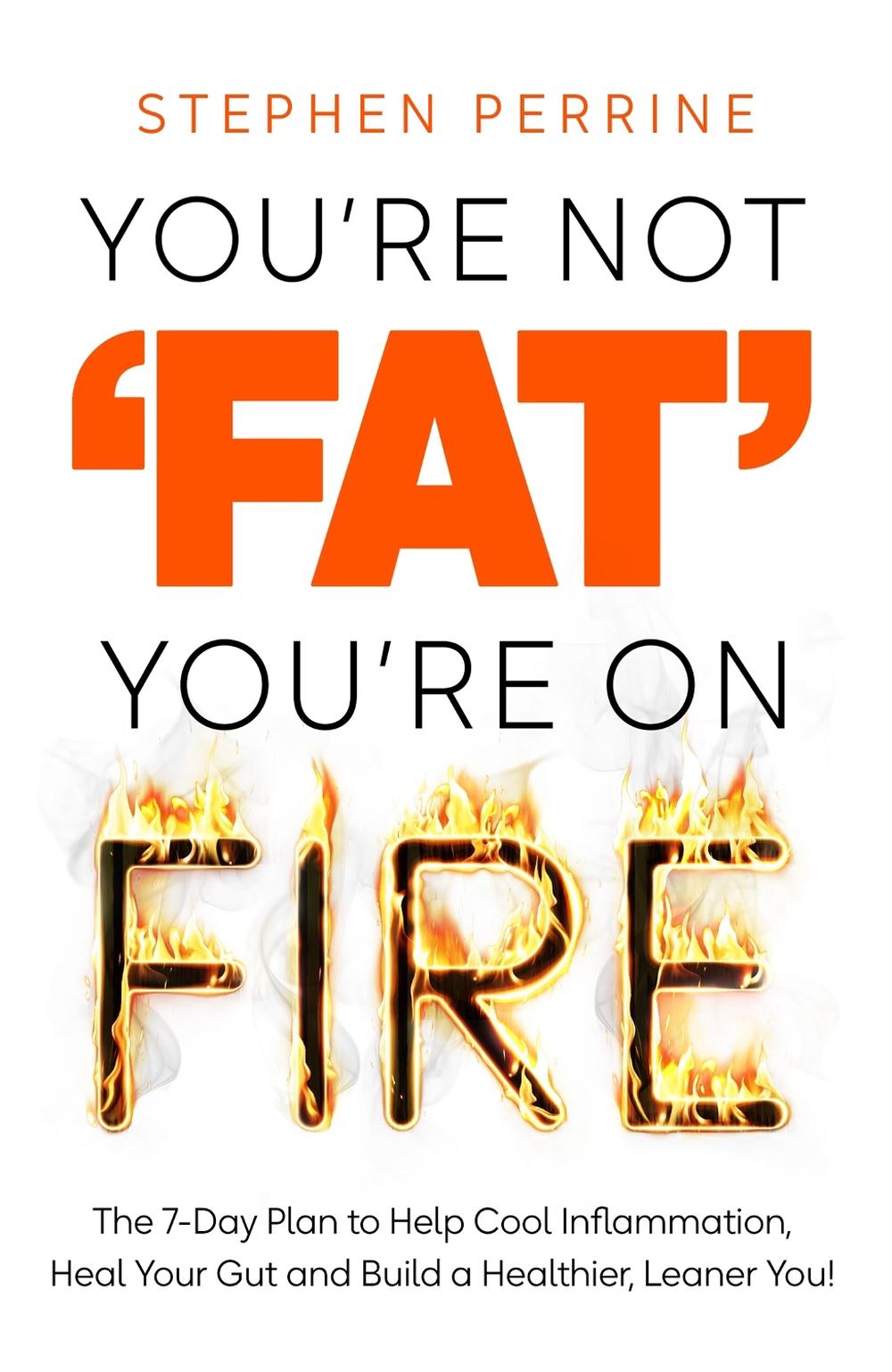 You're Not 'Fat', You're On Fire, 9781035040209