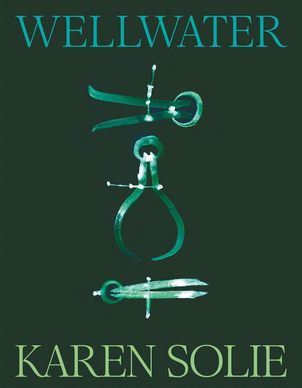 Wellwater by Karen Solie - ISBN: 9781035048182