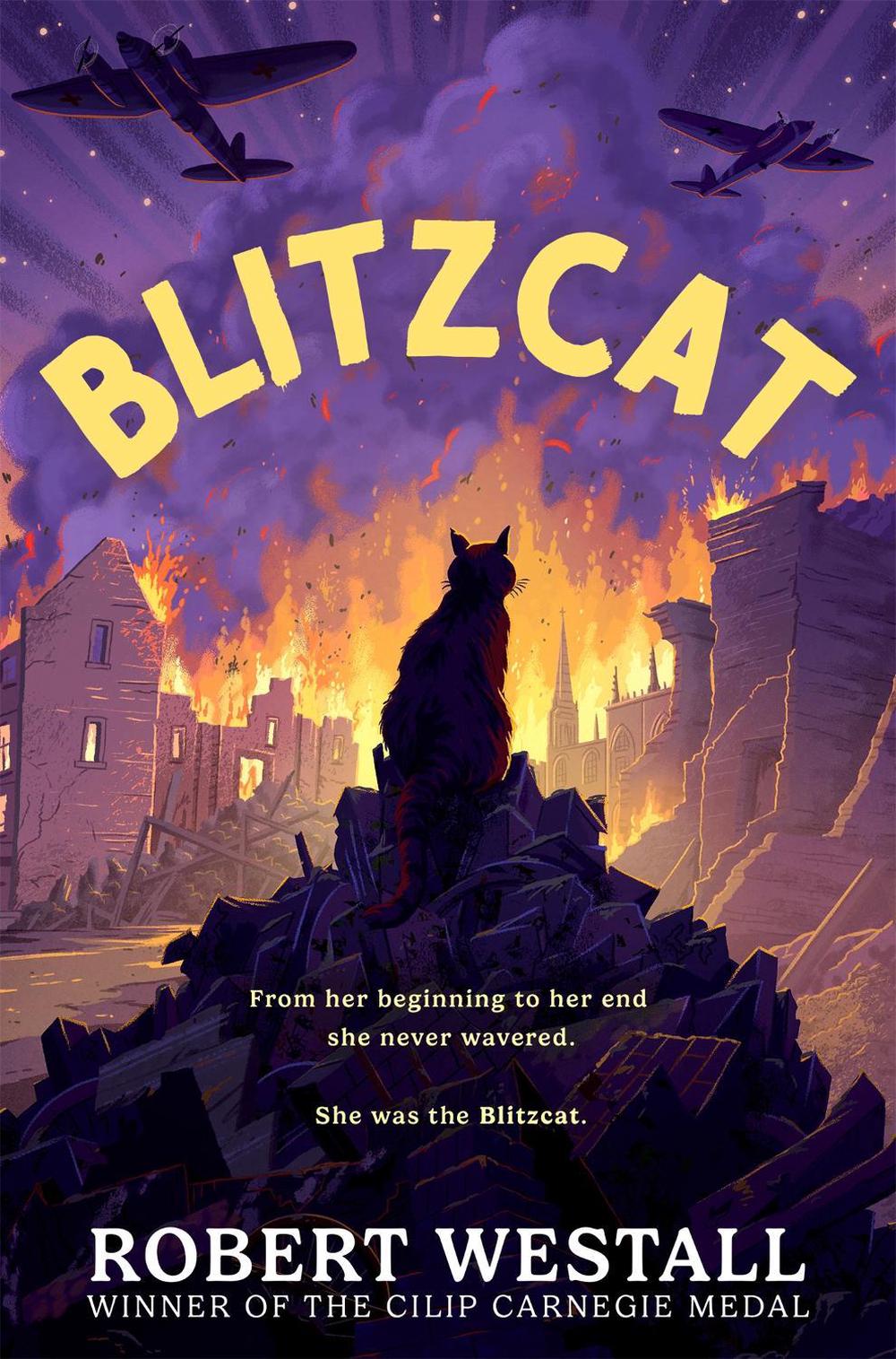 Blitzcat by Robert Westall - ISBN: 9781035058334