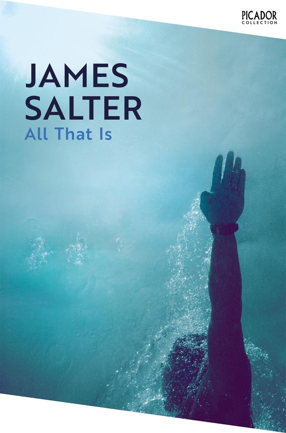 All That Is by James Salter - ISBN: 9781035063550