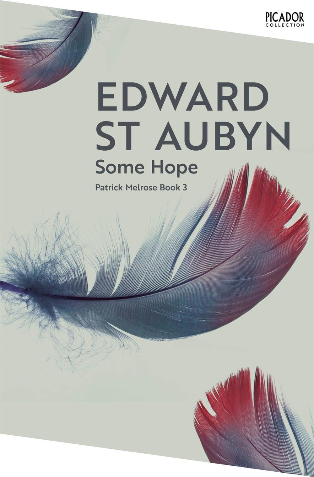 Some Hope by Edward St Aubyn - ISBN: 9781035063574