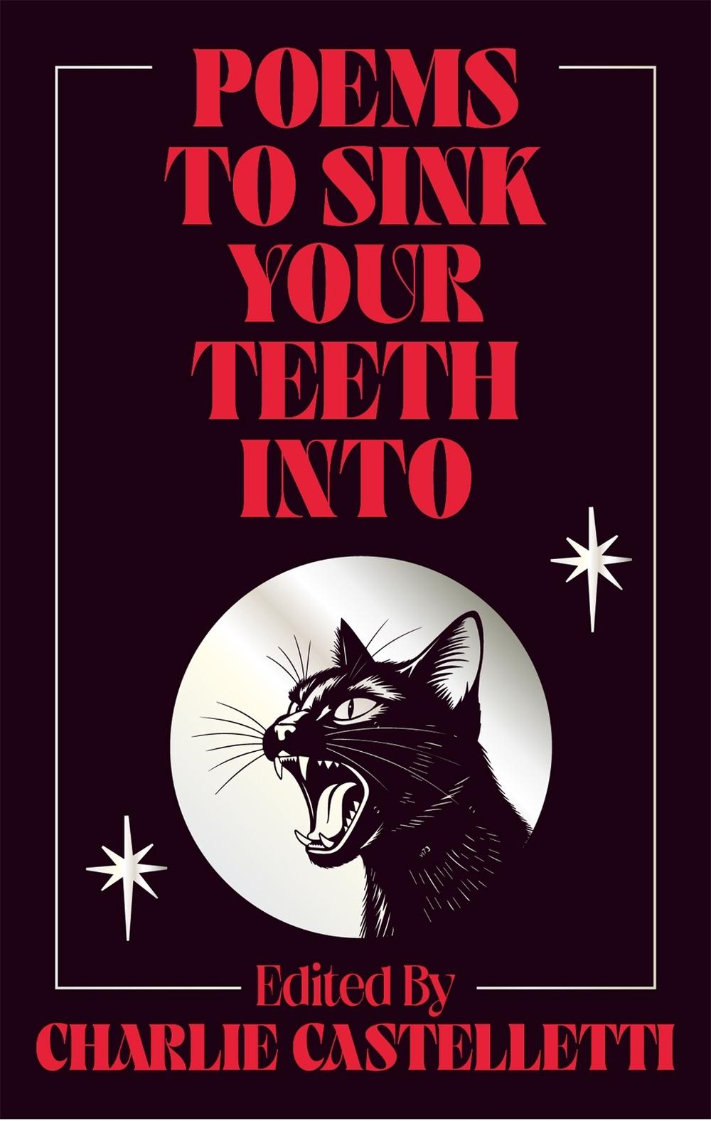 Poems to Sink Your Teeth Into by Charlie Castelletti - ISBN: 9781035064229