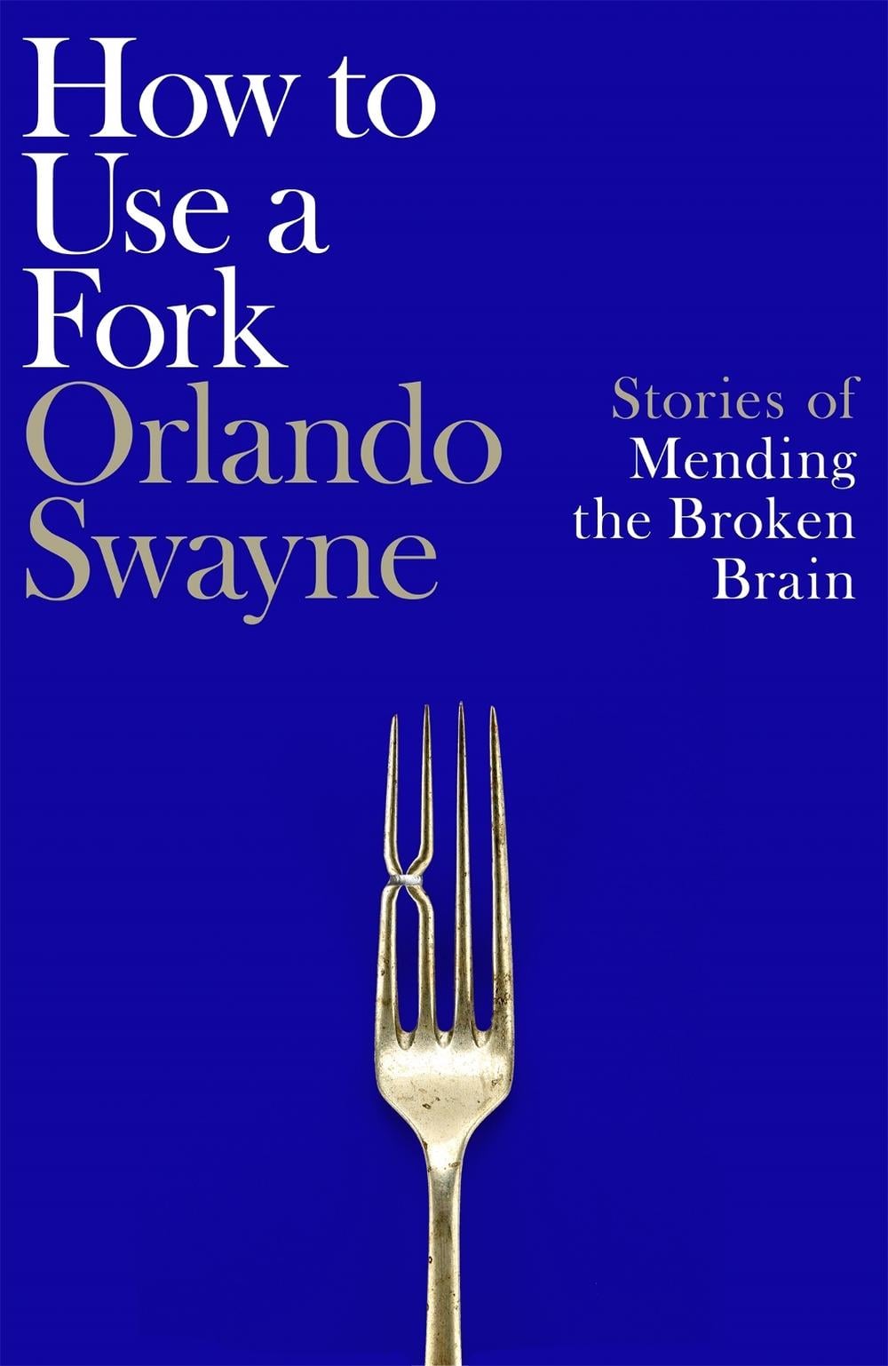 How to Use a Fork by Orlando Swayne - ISBN: 9781035064335