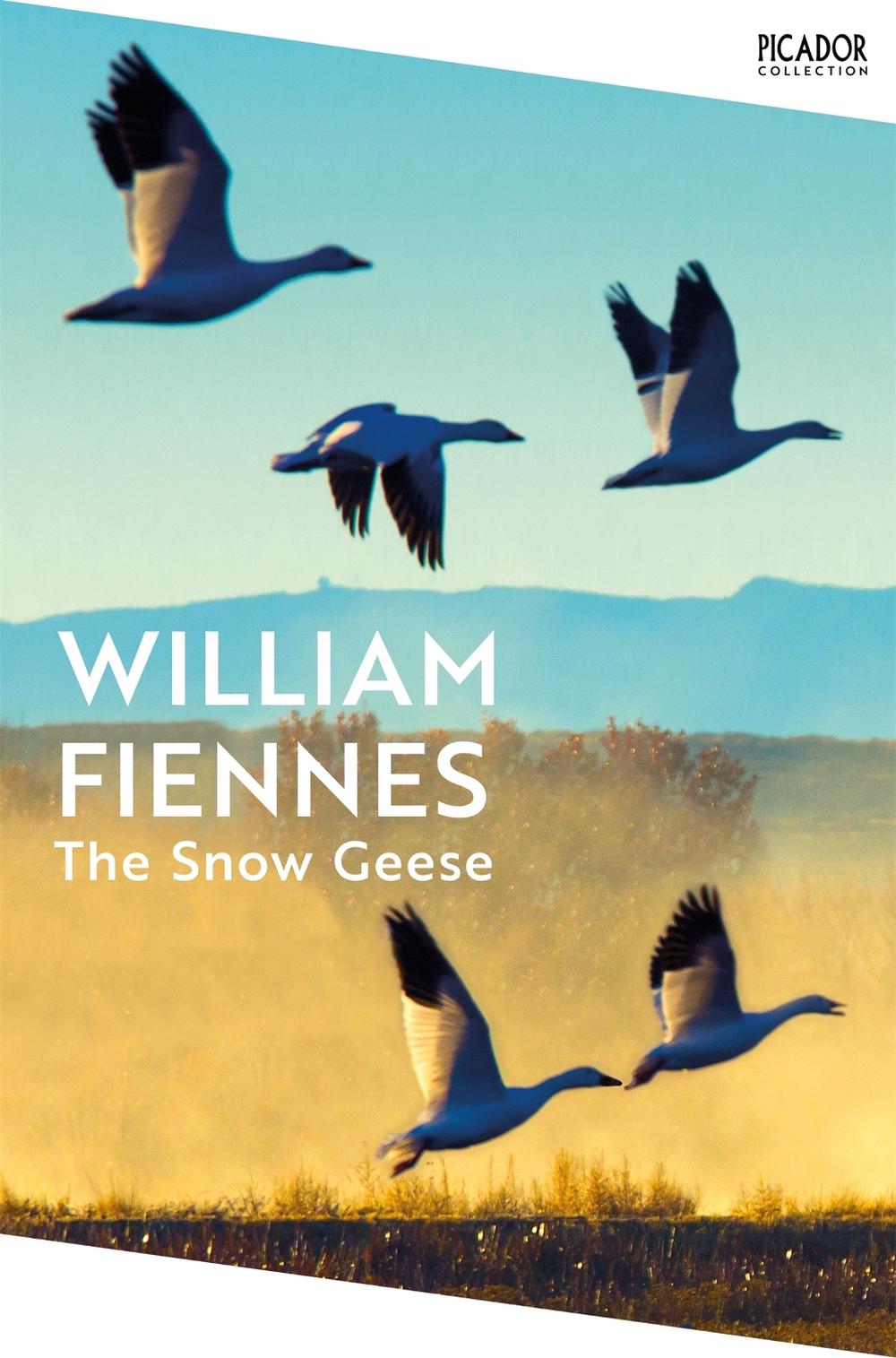The Snow Geese, 9781035065233