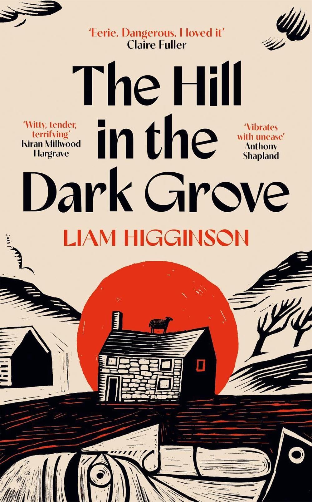 The Hill in the Dark Grove by Liam Higginson - ISBN: 9781035069422