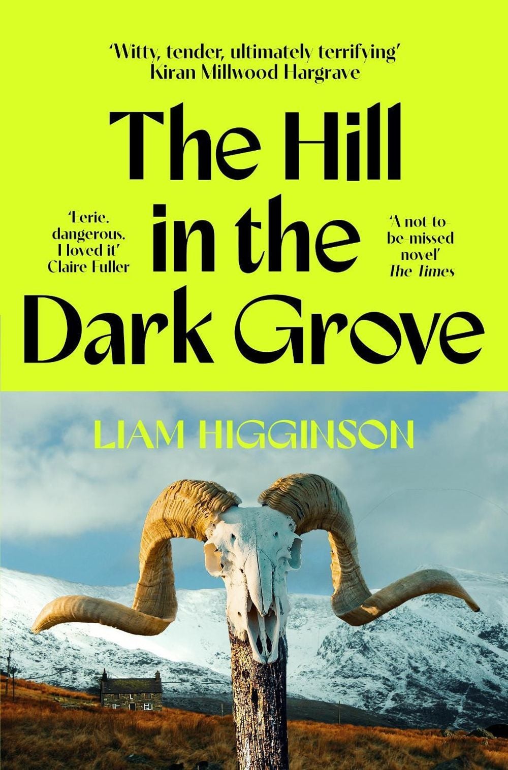 The Hill in the Dark Grove by Liam Higginson - ISBN: 9781035069446