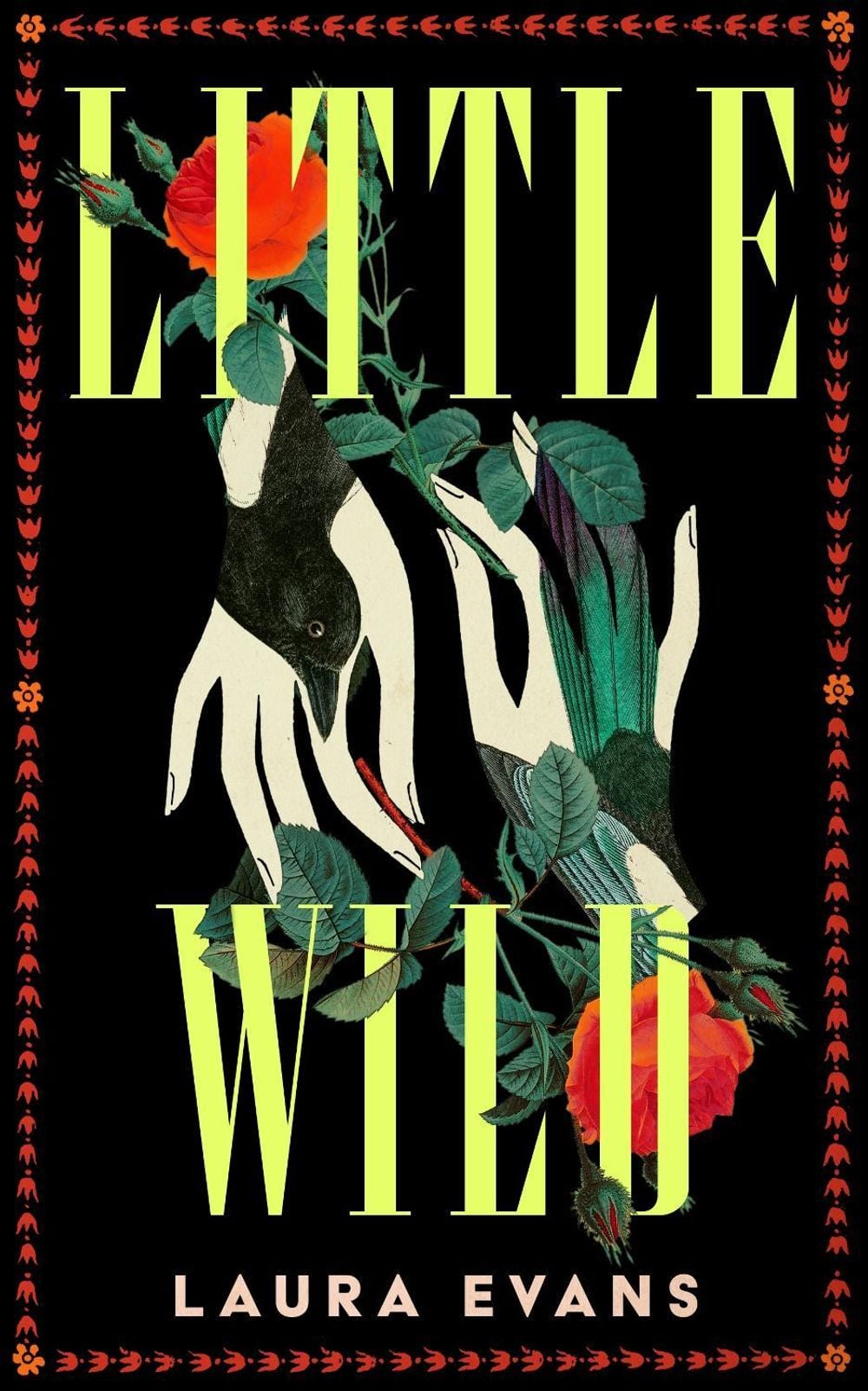 Little Wild by Laura Evans - ISBN: 9781035073078