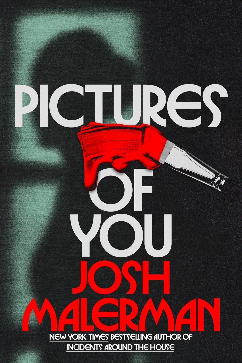 Pictures of You by Josh Malerman - ISBN: 9781035073443