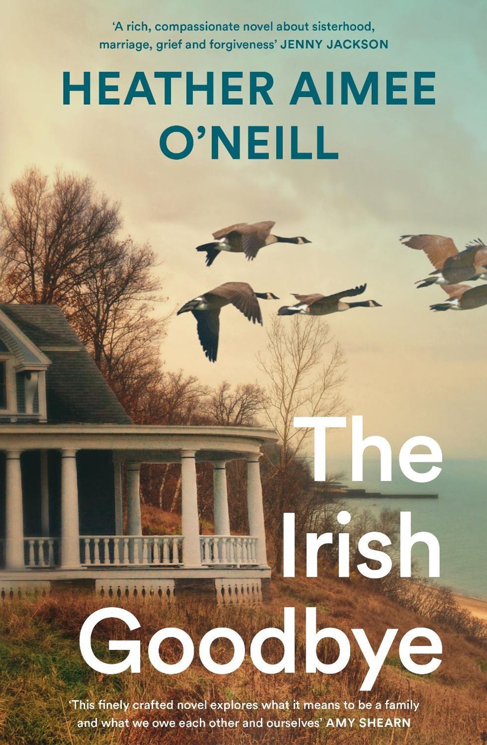 The Irish Goodbye by Heather Aimee O'Neill - ISBN: 9781035074570