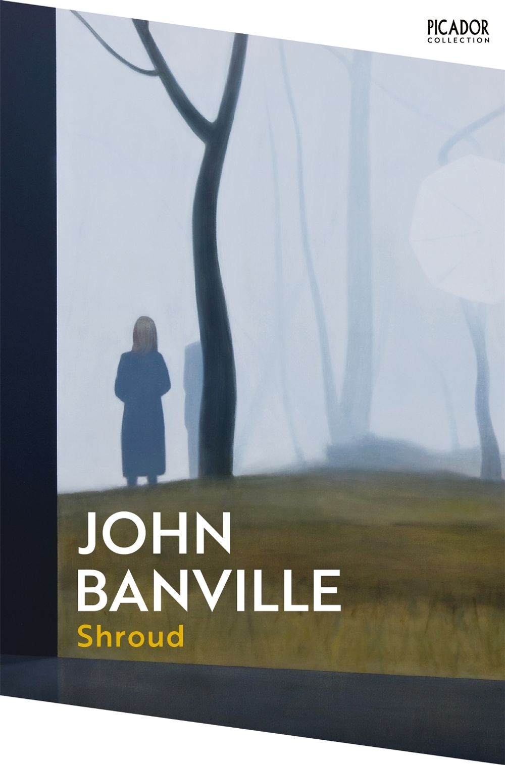 Shroud by John Banville - ISBN: 9781035076857