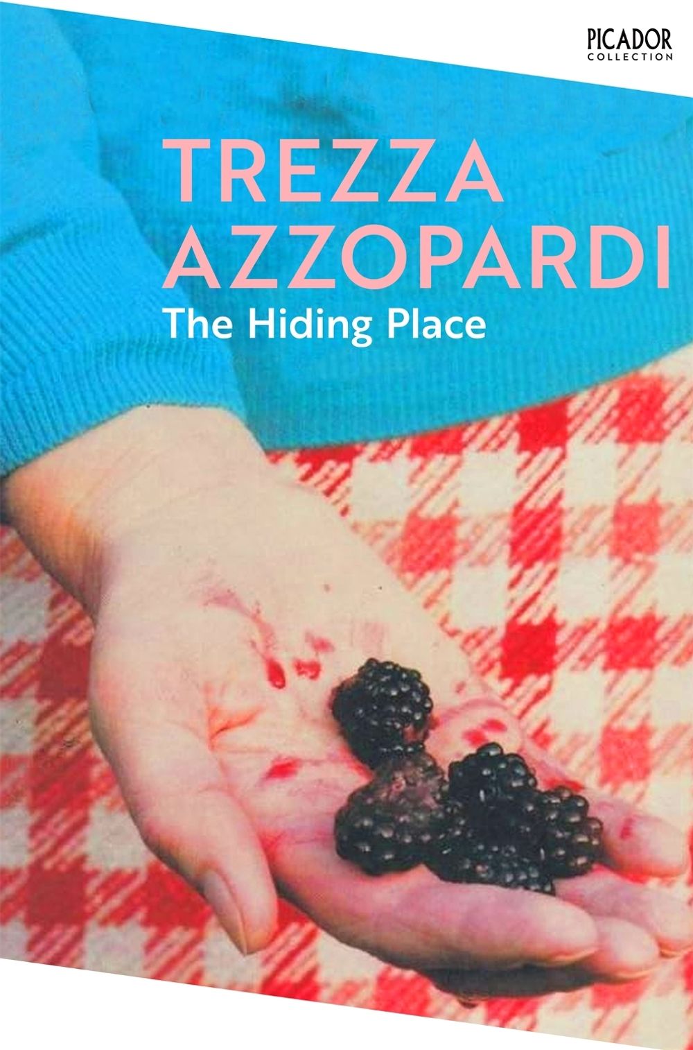 The Hiding Place by Trezza Azzopardi - ISBN: 9781035091515