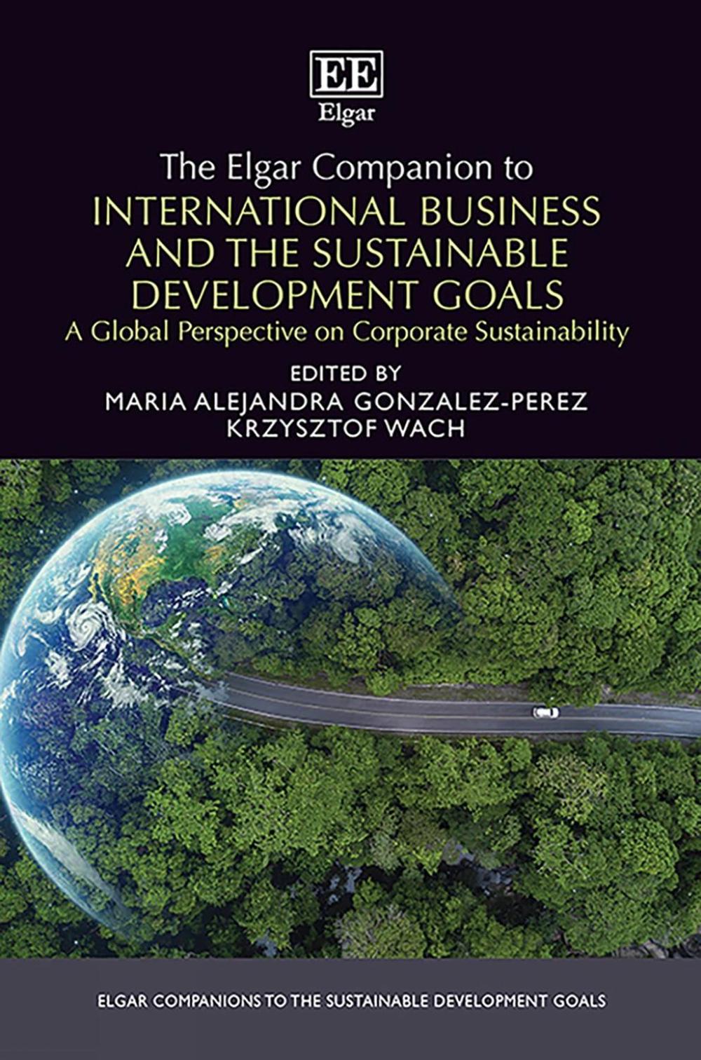 The Elgar Companion to International Business and the Sustainable ...