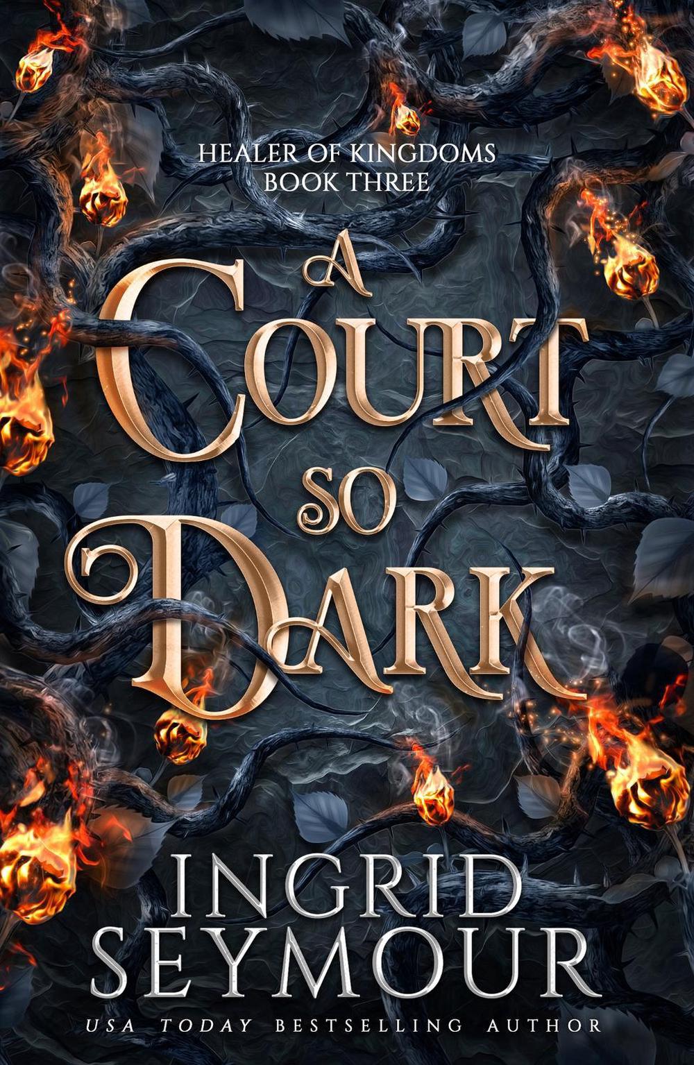 A Court So Dark by Ingrid Seymour - ISBN: 9781035417032