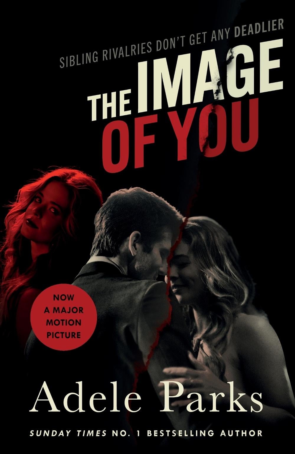 The Image of You by Adele Parks - ISBN: 9781035422111