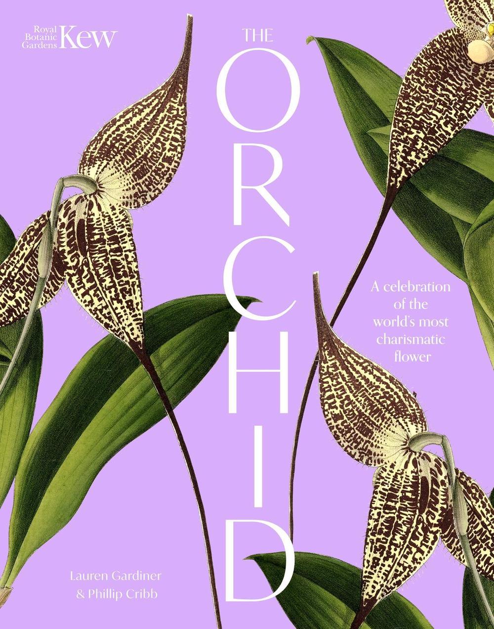 The Orchid: Royal Botanic Gardens, Kew, 9781035427727