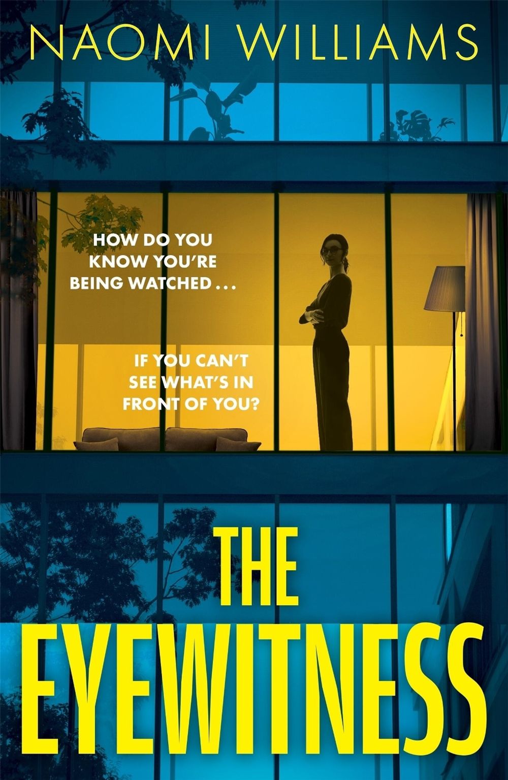 The Eyewitness by Naomi Williams - ISBN: 9781035431892