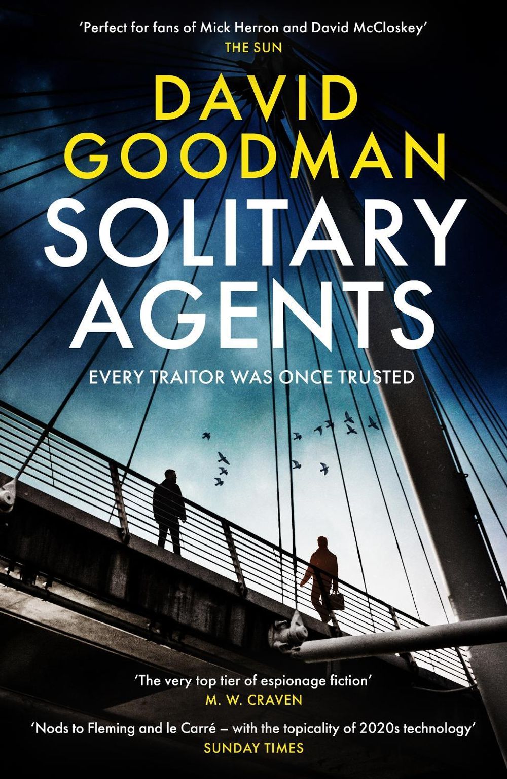 Solitary Agents by David Goodman - ISBN: 9781035434145