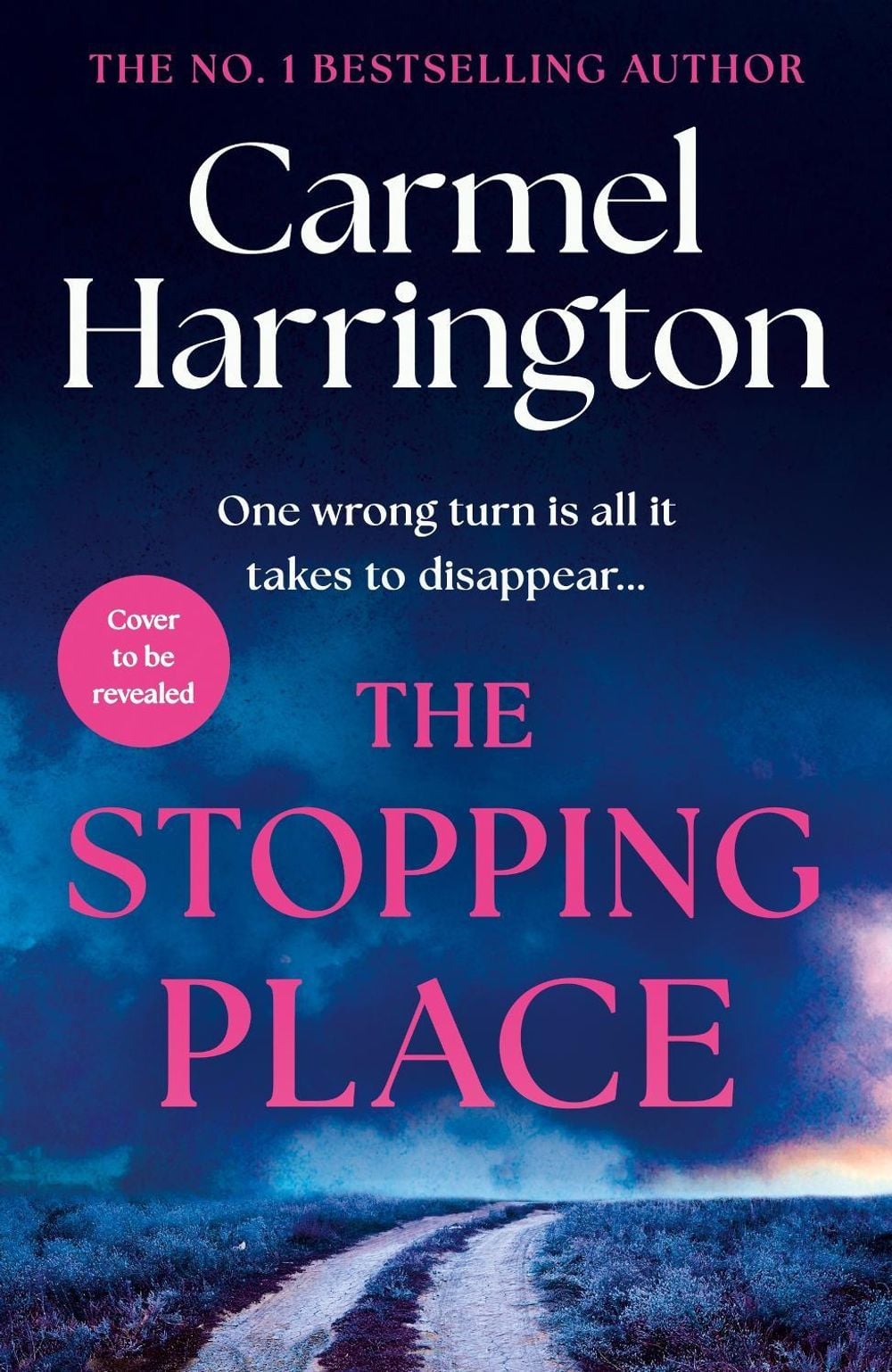 The Stopping Place by Carmel Harrington - ISBN: 9781035438877