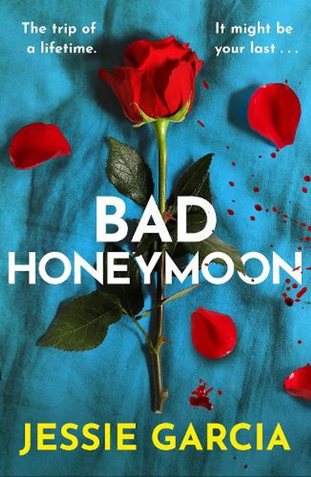 Bad Honeymoon by Jessie Garcia - ISBN: 9781035444434