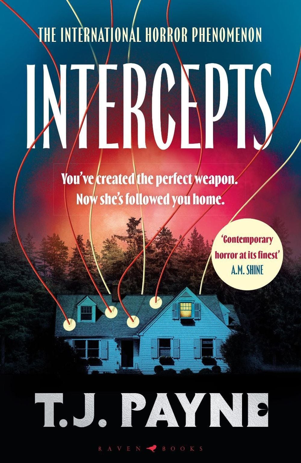 Intercepts by T.J. Payne - ISBN: 9781037208973