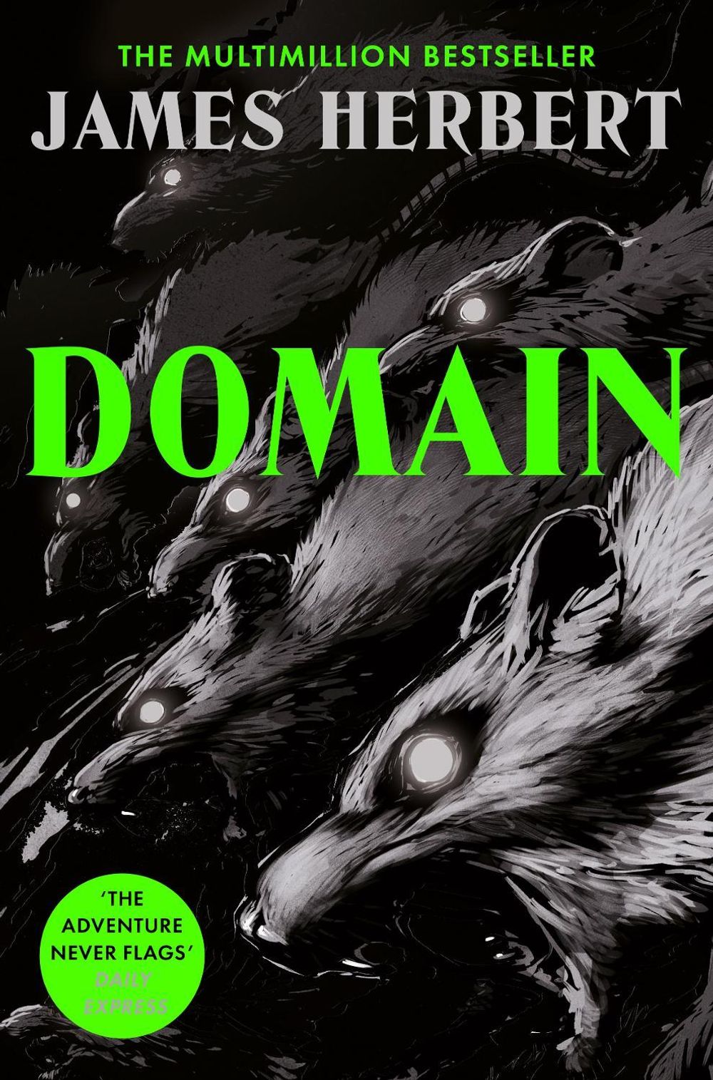 Domain by James Herbert - ISBN: 9781037406256