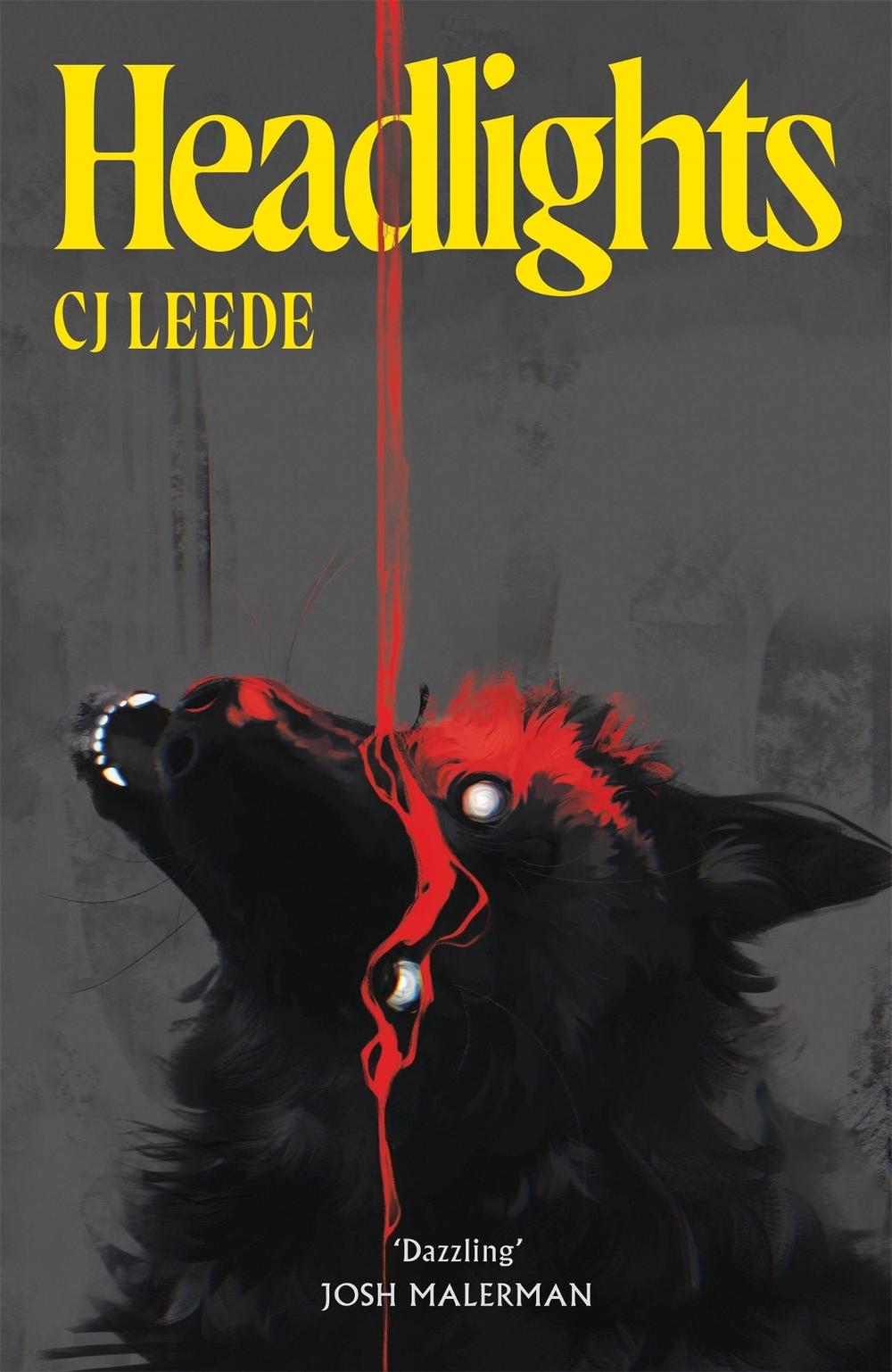 Headlights by CJ Leede - ISBN: 9781037410123