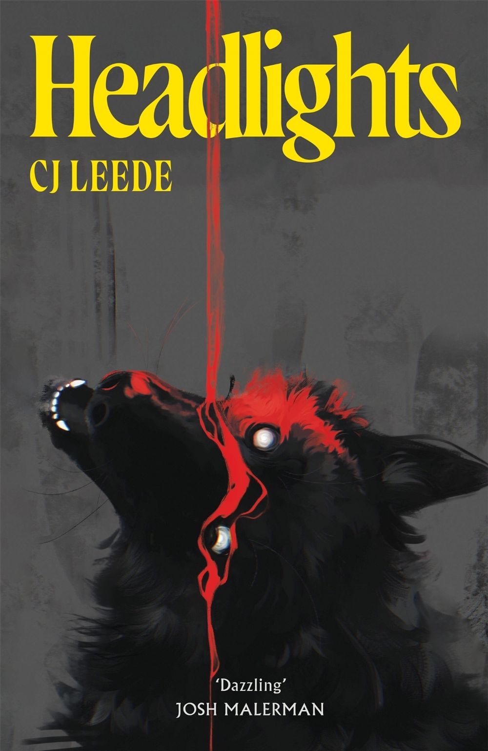 Headlights by CJ Leede - ISBN: 9781037410130