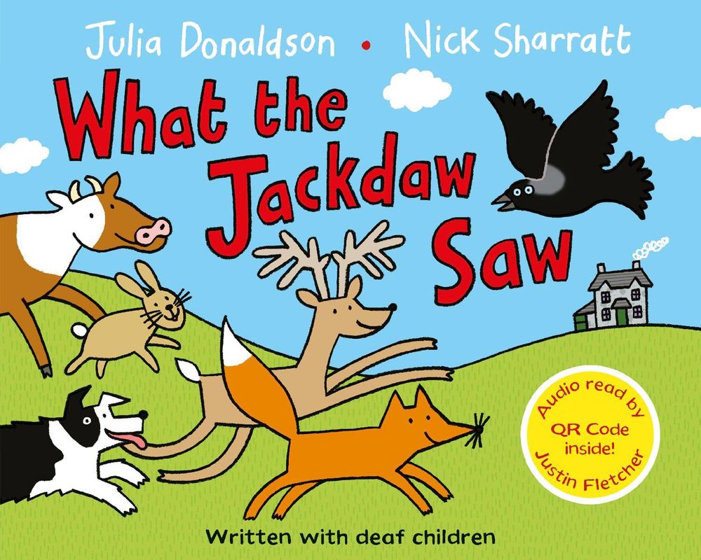 What the Jackdaw Saw by Julia Donaldson - ISBN: 9781037411656