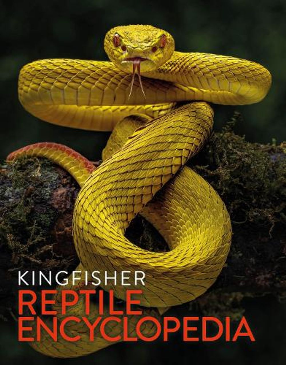 The Kingfisher Reptile Encyclopedia by Kingfisher - ISBN: 9781037412998