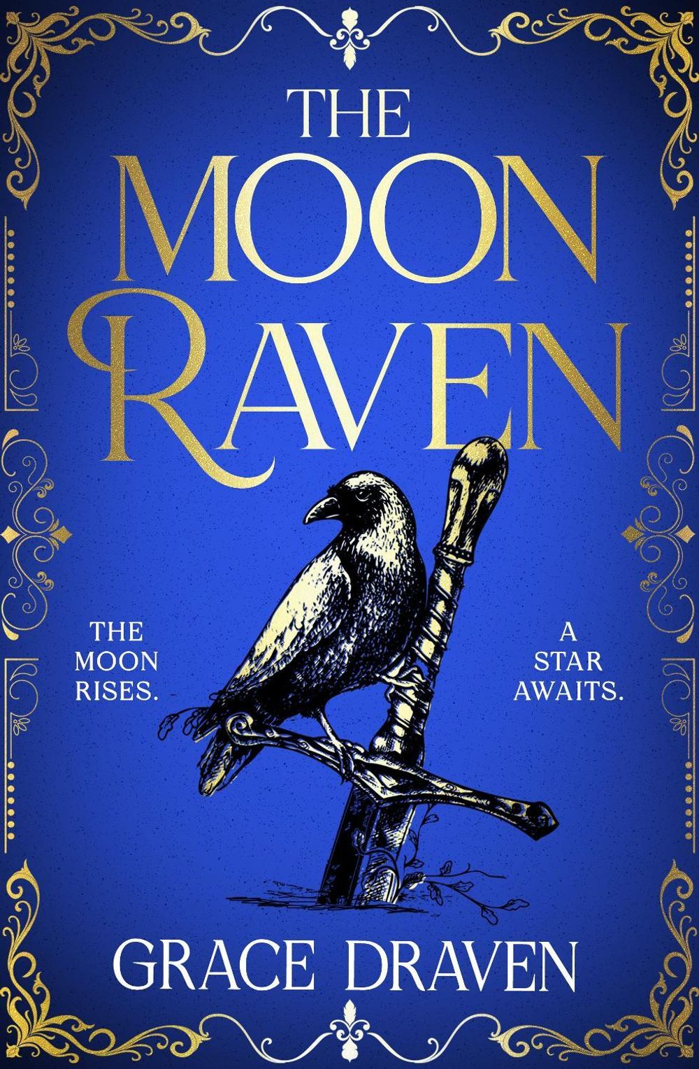 The Moon Raven by Grace Draven - ISBN: 9781037418624