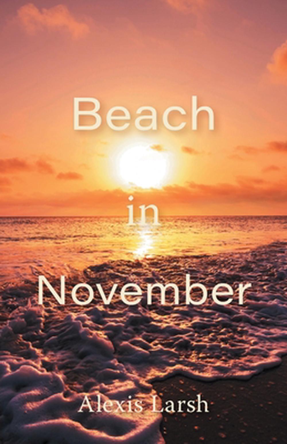 Beach in November, 9781038316561