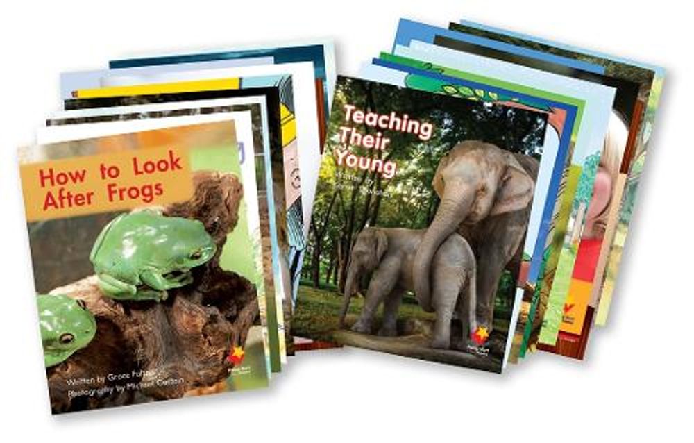 Flying Start to Literacy Phonics Module 3 Student Book Singles Pack by Various Authors - ISBN: 9781038537508