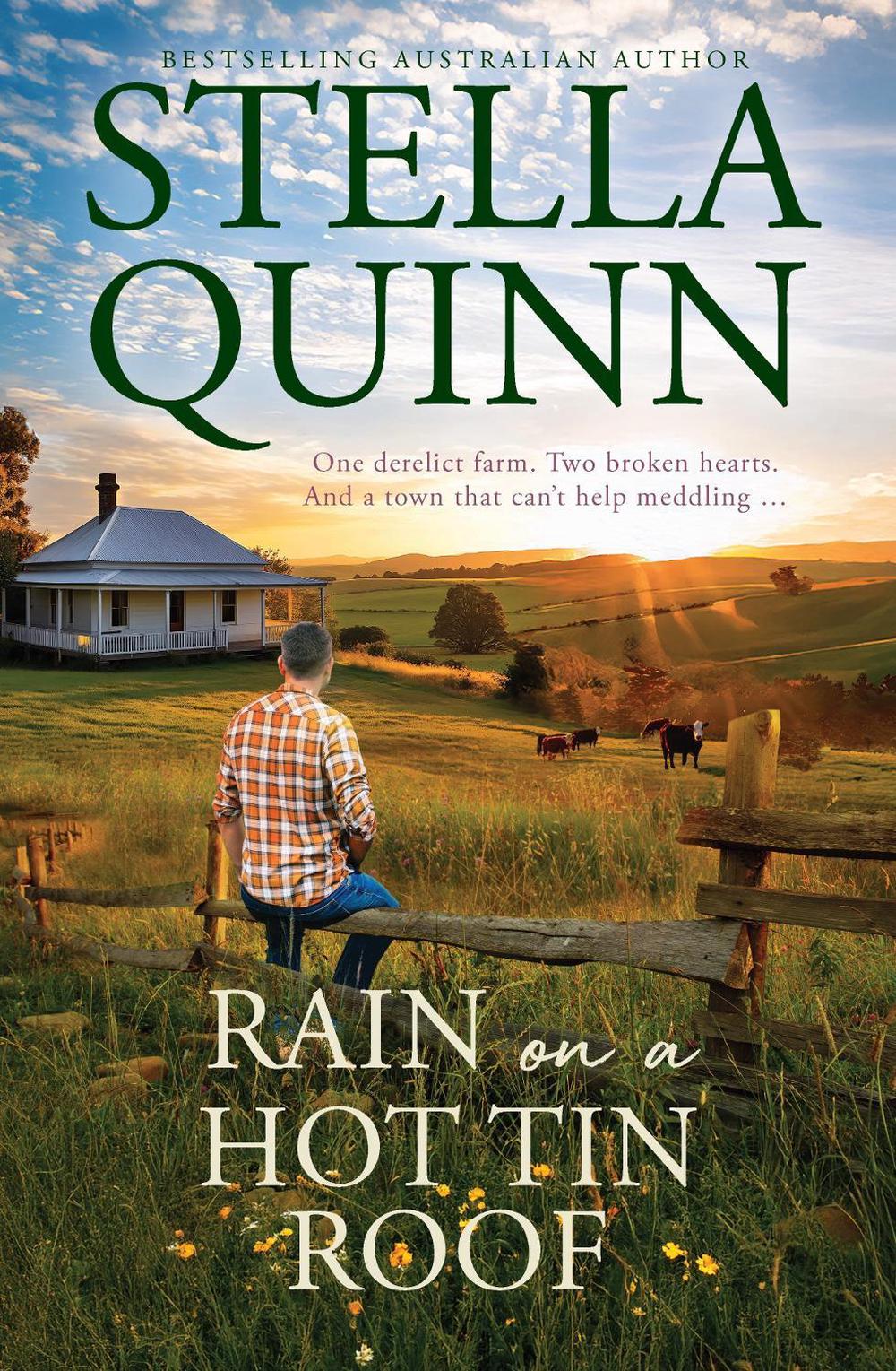 Rain on a Hot Tin Roof: A single dad and a town of matchmakers, 2026's funny new romance, perfect for readers of Karly Lane, from an award-winning and bestseller author, 9781038903945