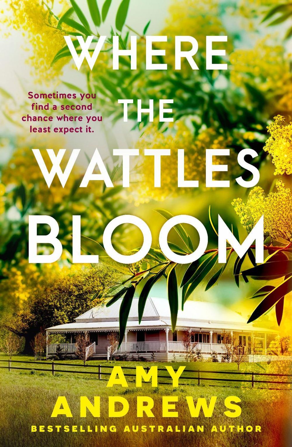 Where the Wattles Bloom by Amy Andrews - ISBN: 9781038942586