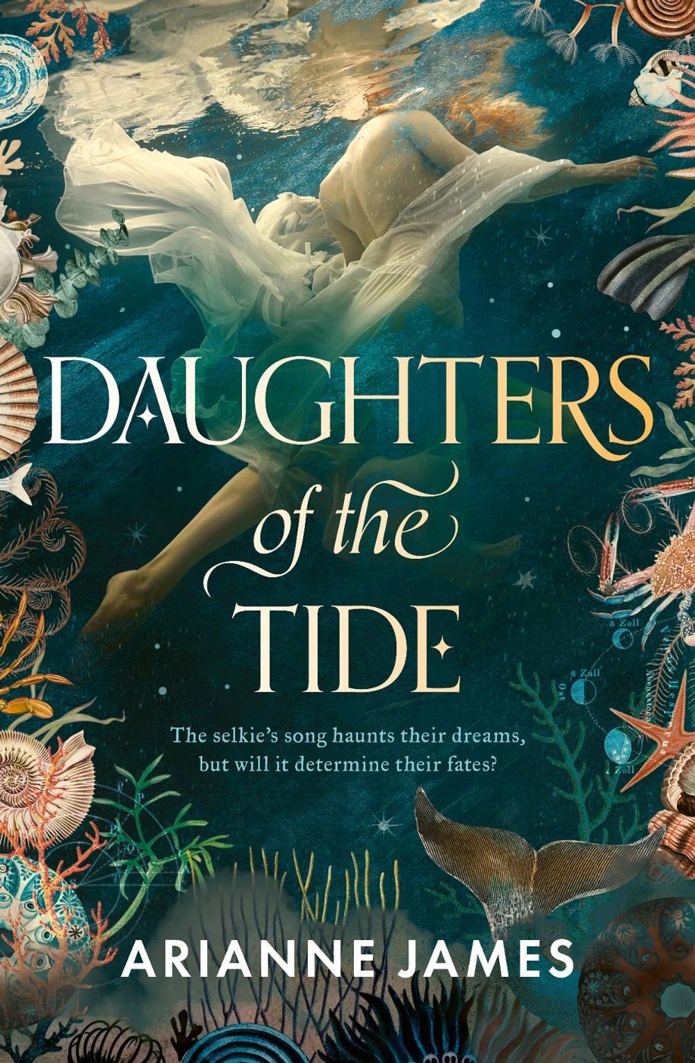 Daughters of the Tide: The gorgeously atmospheric 2026 debut that explores secrets and selkies in 1920s Tasmania by Arianne James - ISBN: 9781038945549
