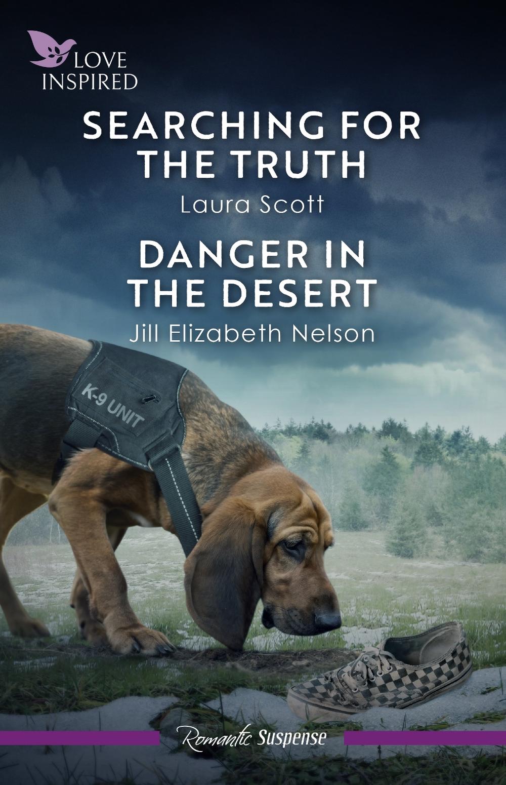 Searching For The Truth/Danger In The Desert, 9781038972965