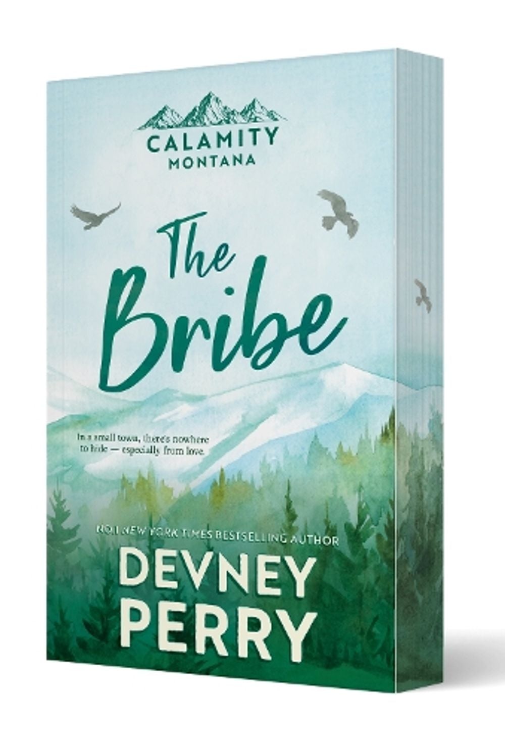 The Bribe by Devney Perry - ISBN: 9781038991324