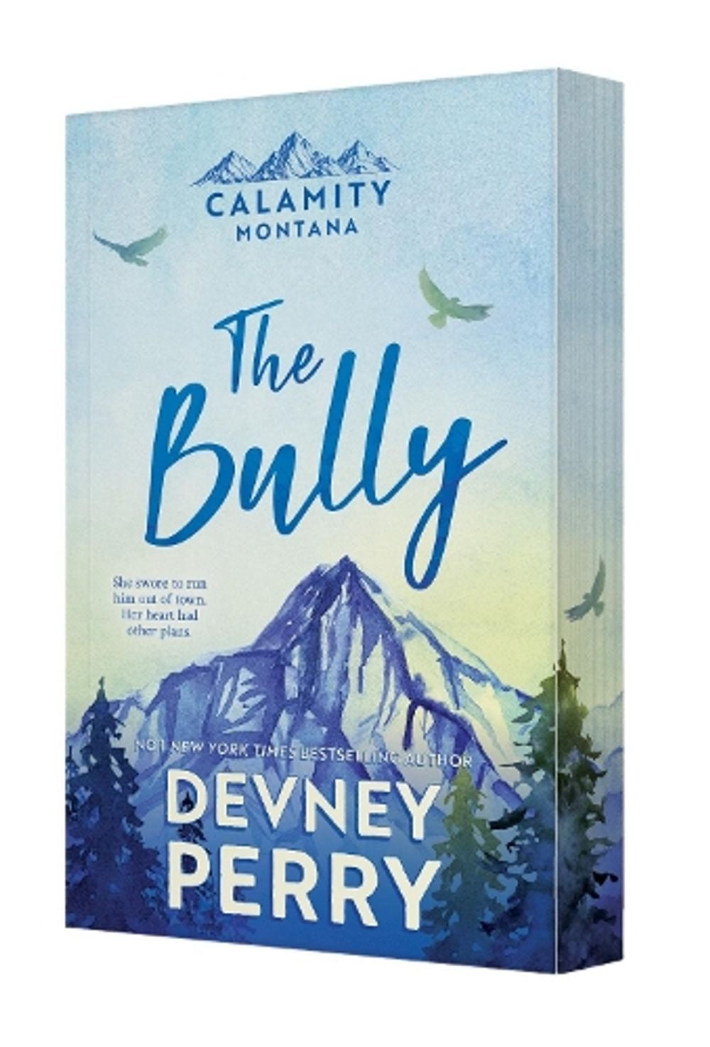 The Bully by Devney Perry - ISBN: 9781038991386