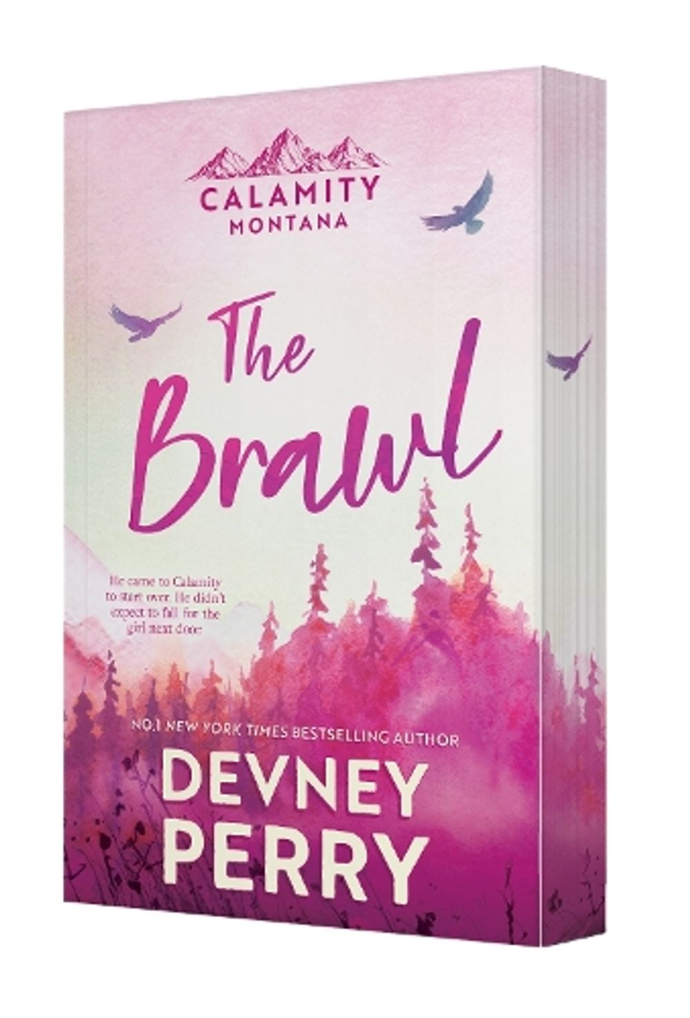The Brawl by Devney Perry - ISBN: 9781038991409