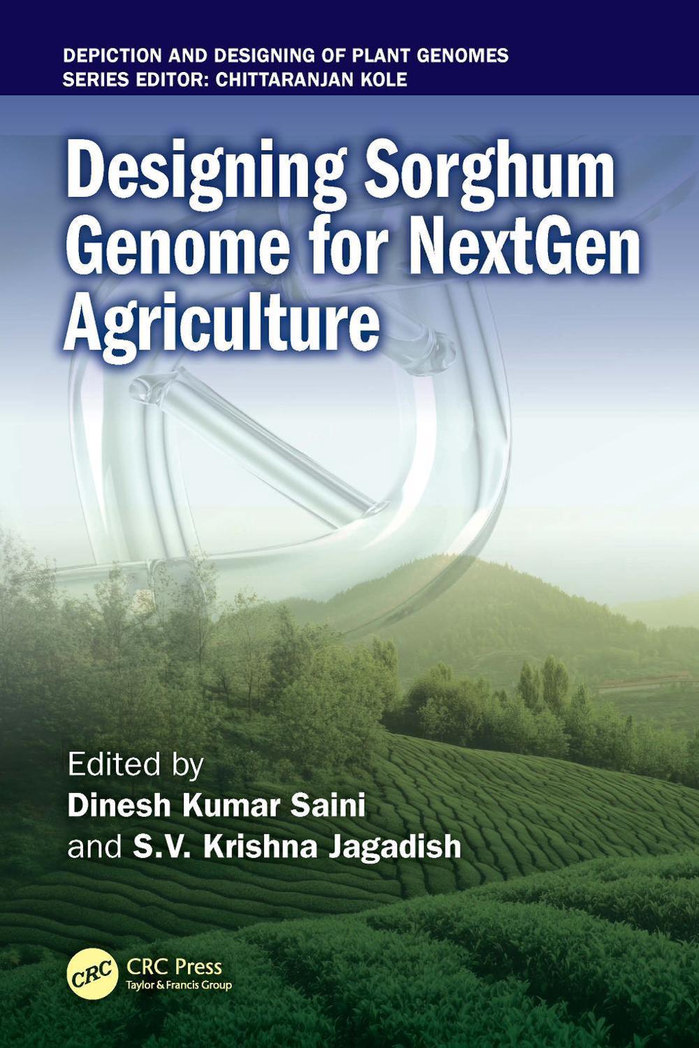 Designing Sorghum Genome for NextGen Agriculture, 9781041034063