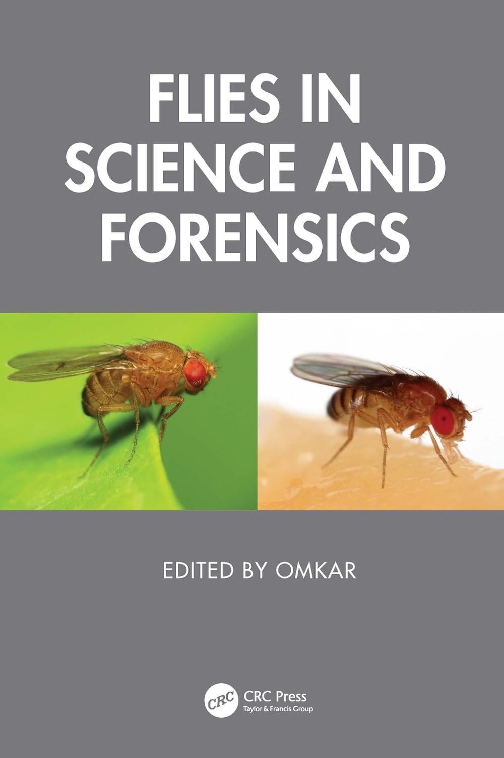 Fly Science Flies in Science and Forensics by Omkar, Hardcover, 9781041078593 | Buy ...