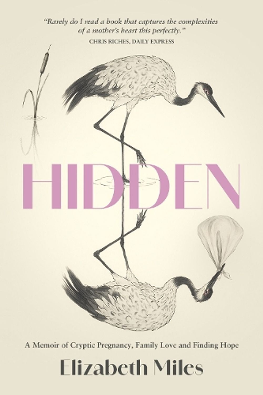 Hidden by Elizabeth Miles - ISBN: 9781066879304