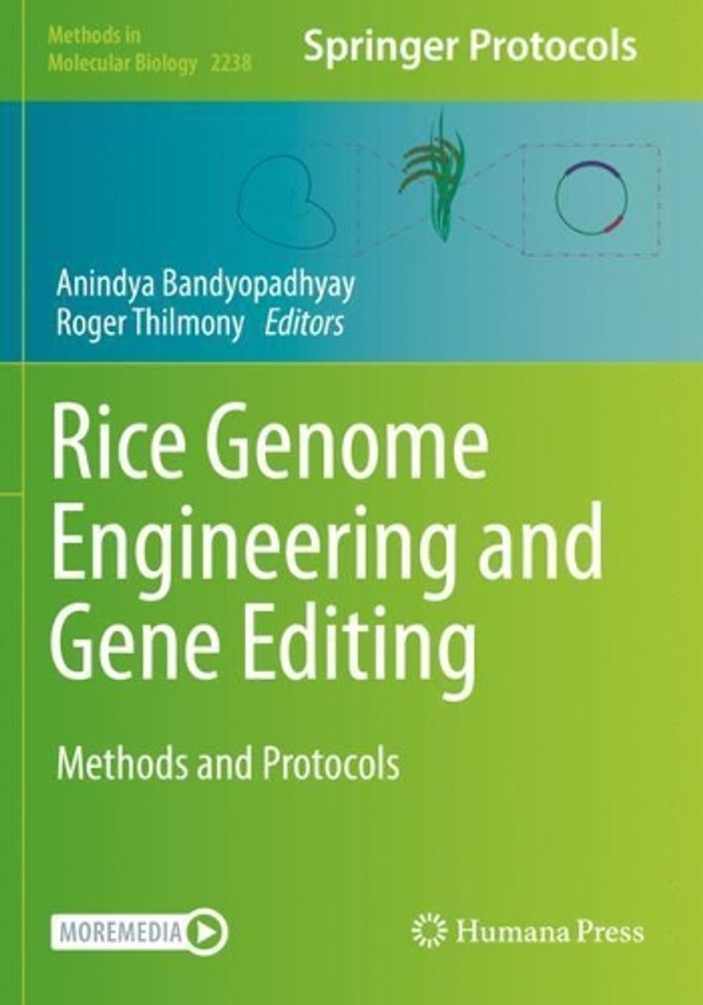 Rice Genome Engineering and Gene Editing, 2021st Edition by Anindya ...