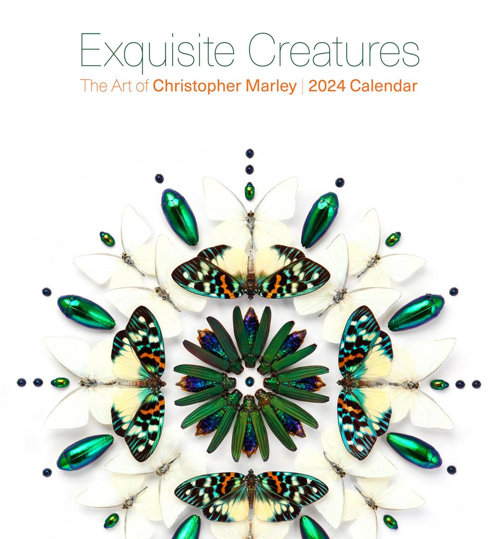 Pomegranate 2024 Exquisite Creatures The Art of Christopher Marley