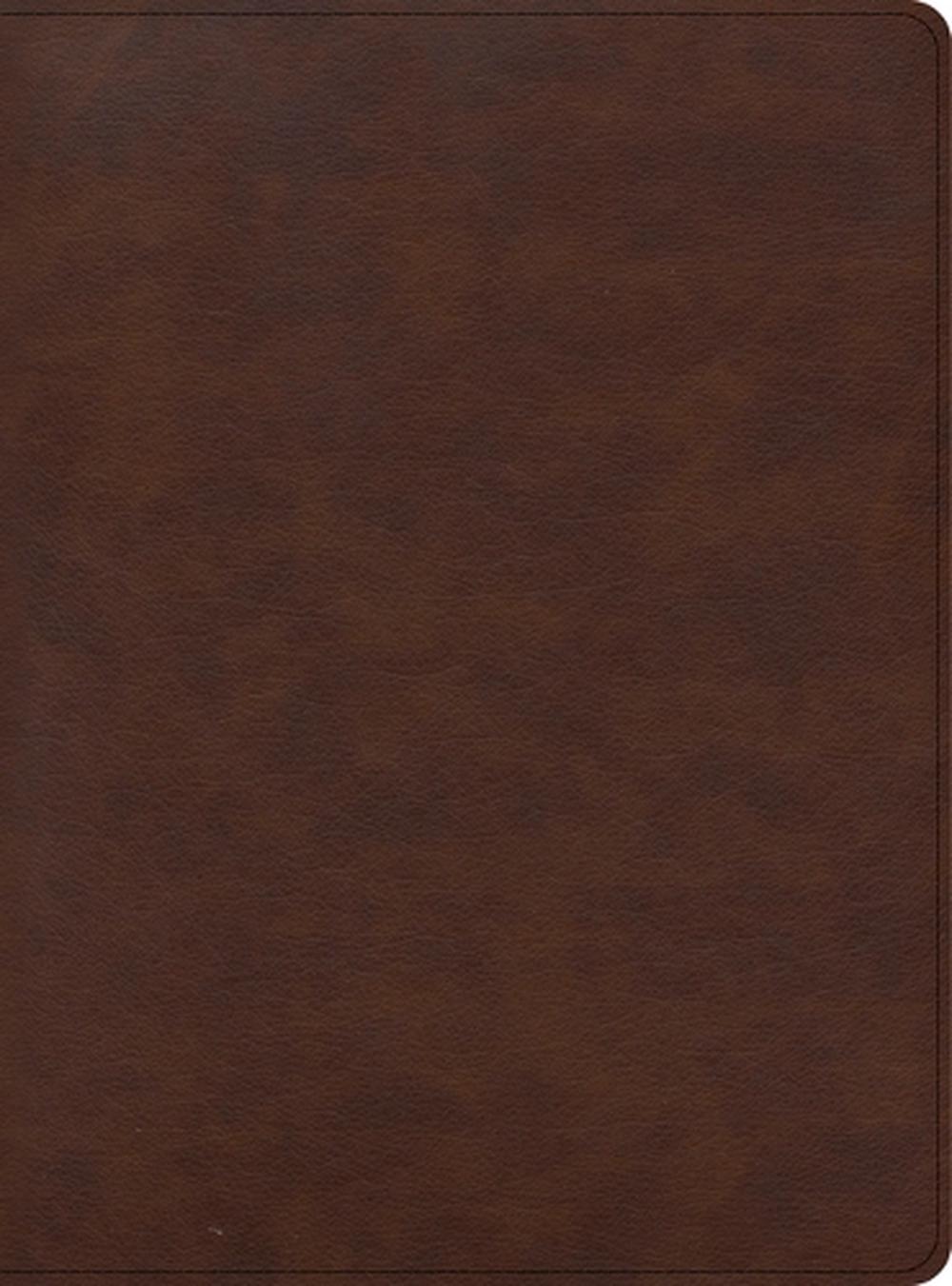 CSB Apologetics Study Bible for Students, Brown LeatherTouch, 9781087757964