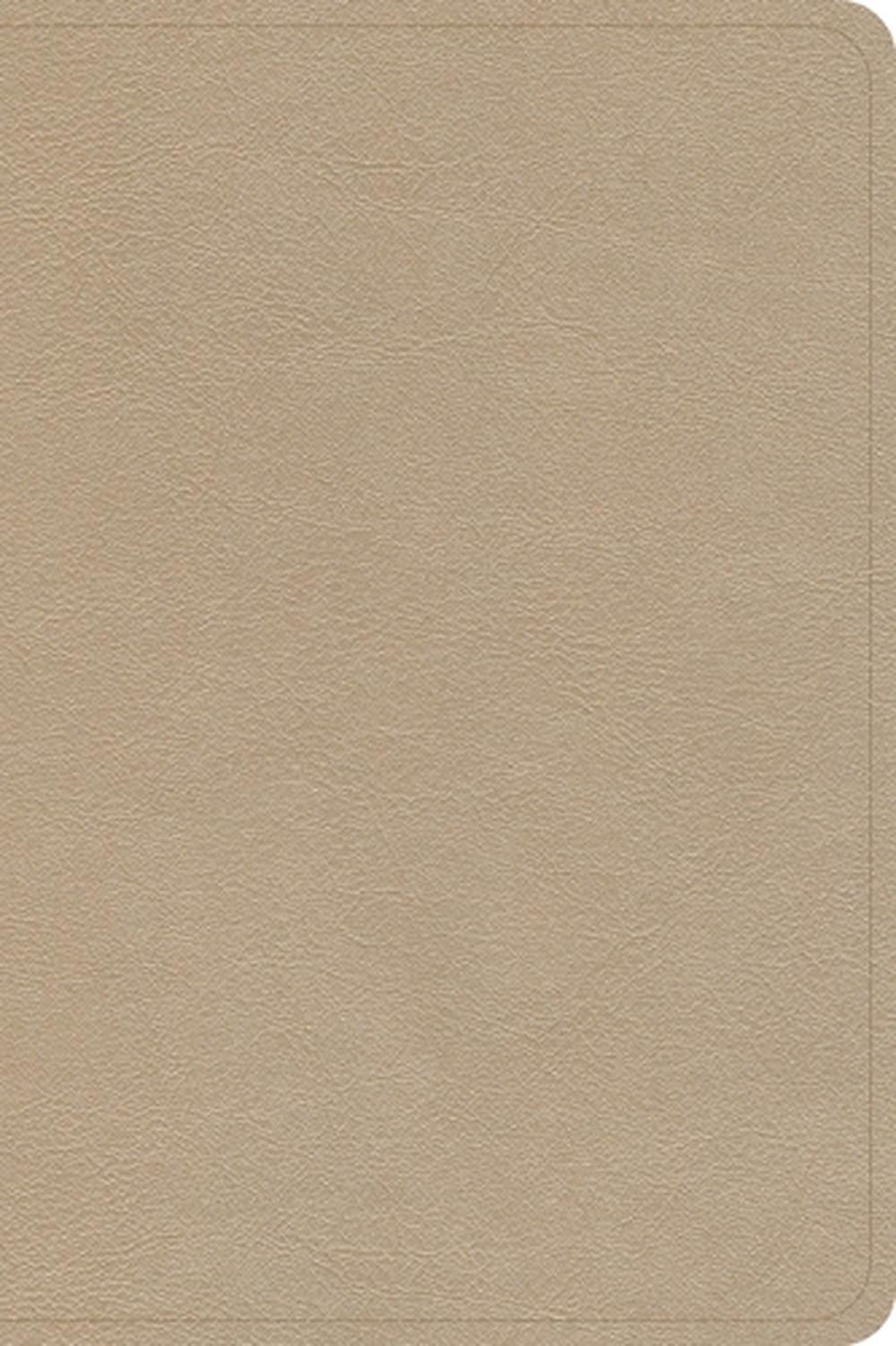 CSB Large Print Compact Reference Bible, Gold Leathertouch, 9781087785691