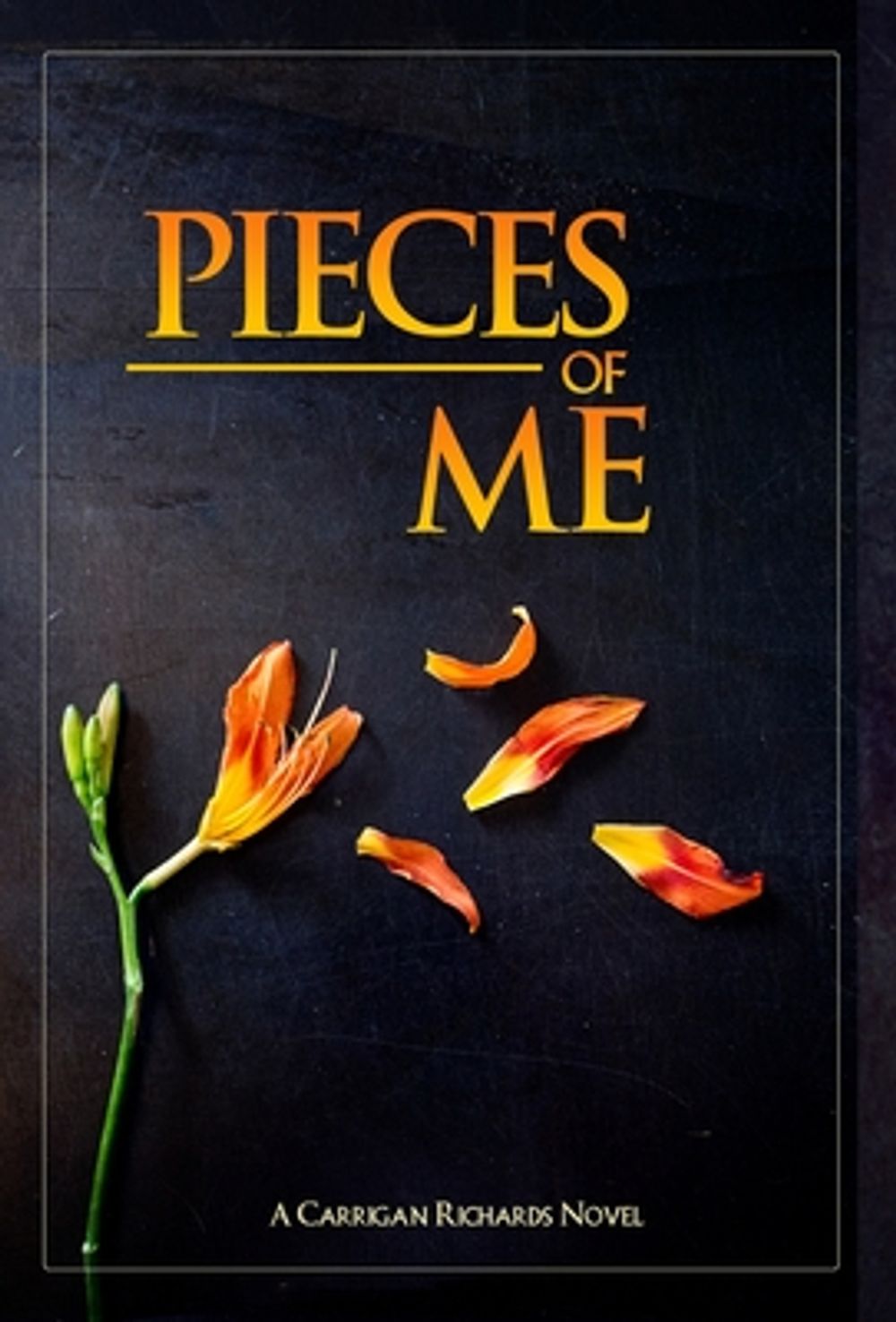 Pieces of Me by Carrigan Richards - ISBN: 9781087972534
