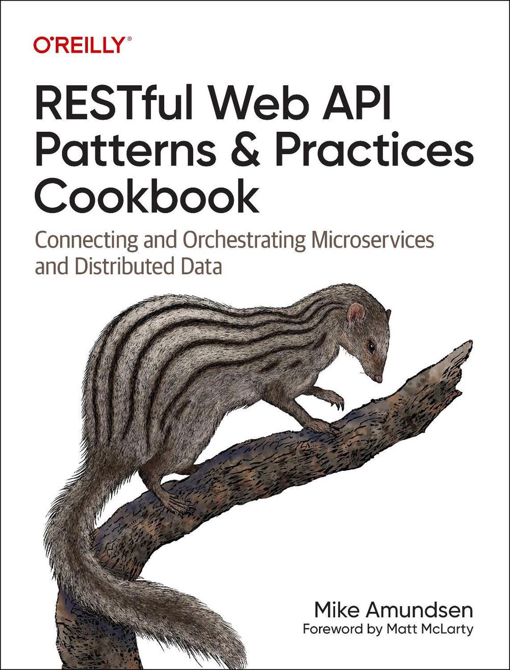 Restful Web API Patterns and Practices Cookbook, 9781098106744
